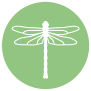 Dragonfly Finance